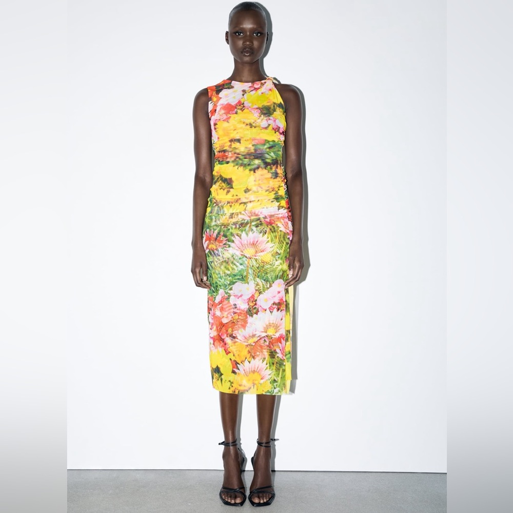 Zara Printed Tulle Dress